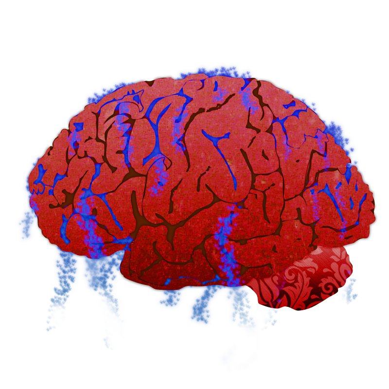 Brain by Chrometor